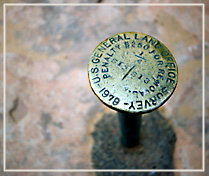 survey stake