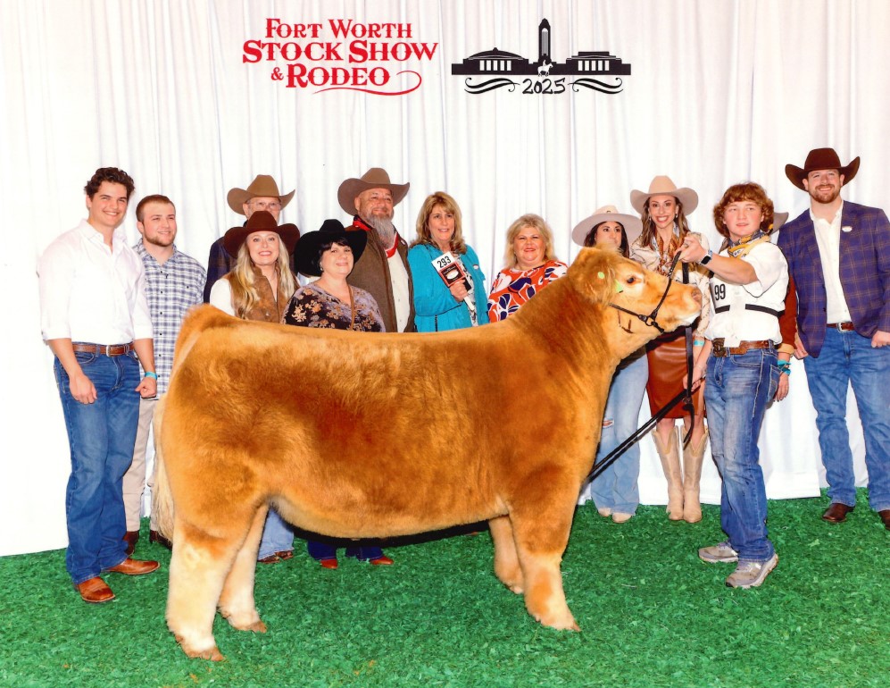 Dowdy Steer 2025 purchase