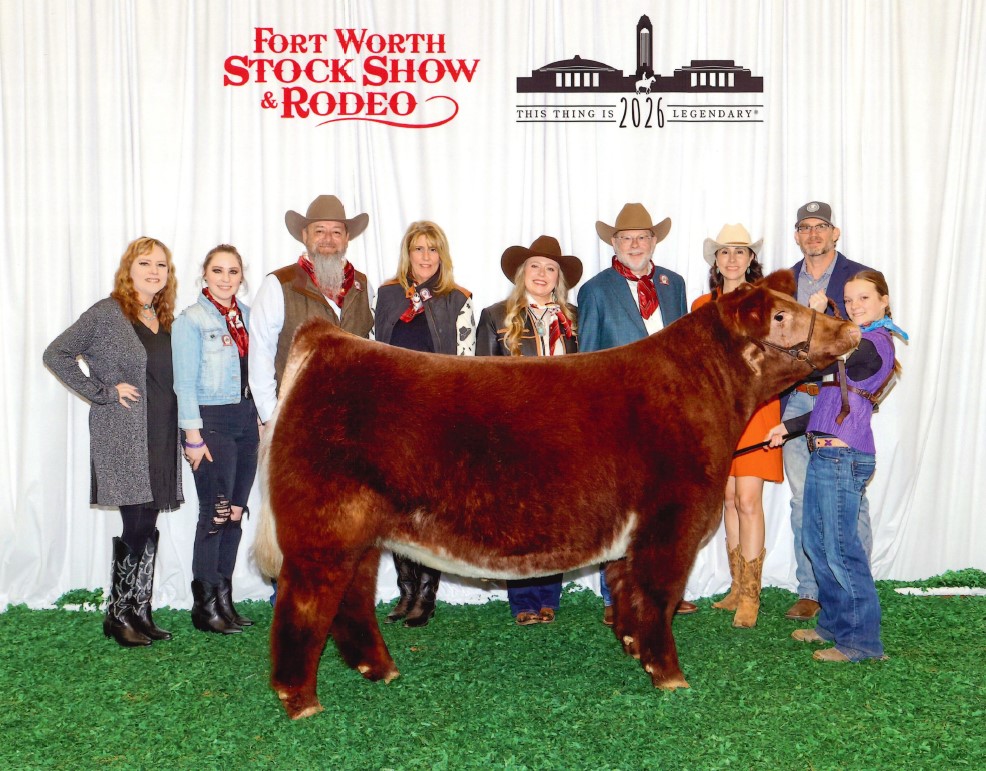 Dowdy Steer 2026 purchase